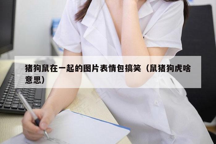 猪狗鼠在一起的图片表情包搞笑（鼠猪狗虎啥意思）