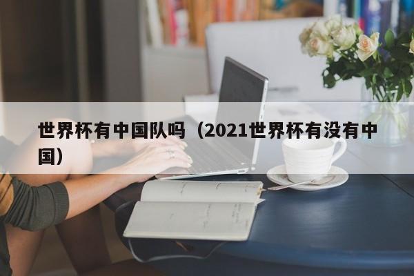 世界杯有中国队吗（2021世界杯有没有中国）